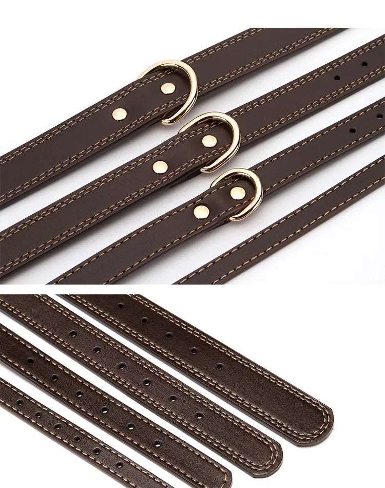 Echtleder Hundehalsband