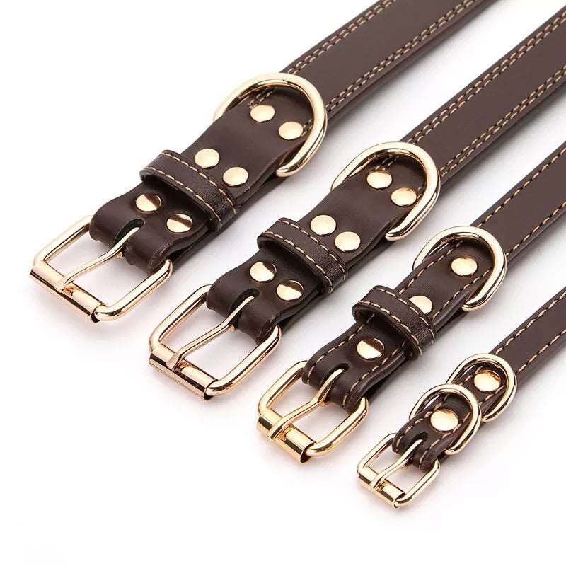 Echtleder Hundehalsband