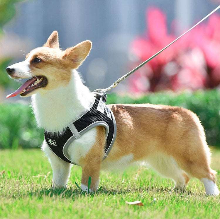 Hundebrustgeschirr Soft Mesh - Grösse XS
