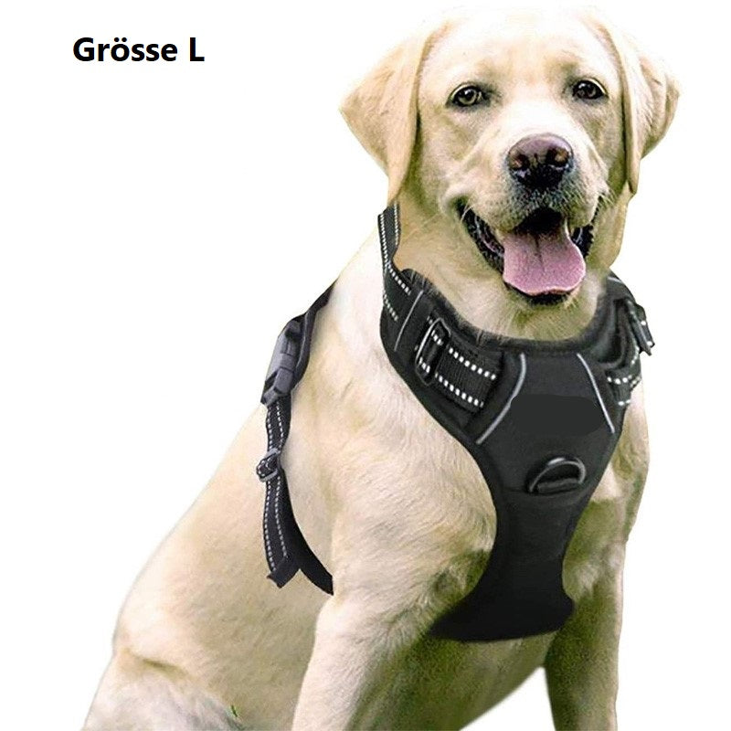 Hundegeschirr mit 2 Ringen