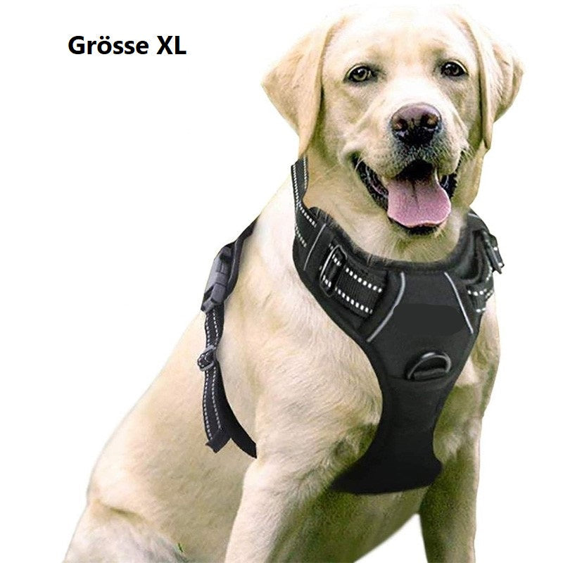 Hundegeschirr mit 2 Ringen