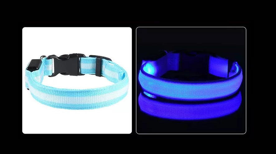 LED Hunde Leuchthalsband