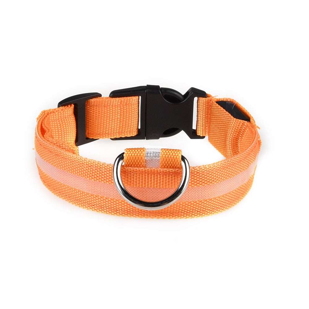 LED Hunde Leuchthalsband