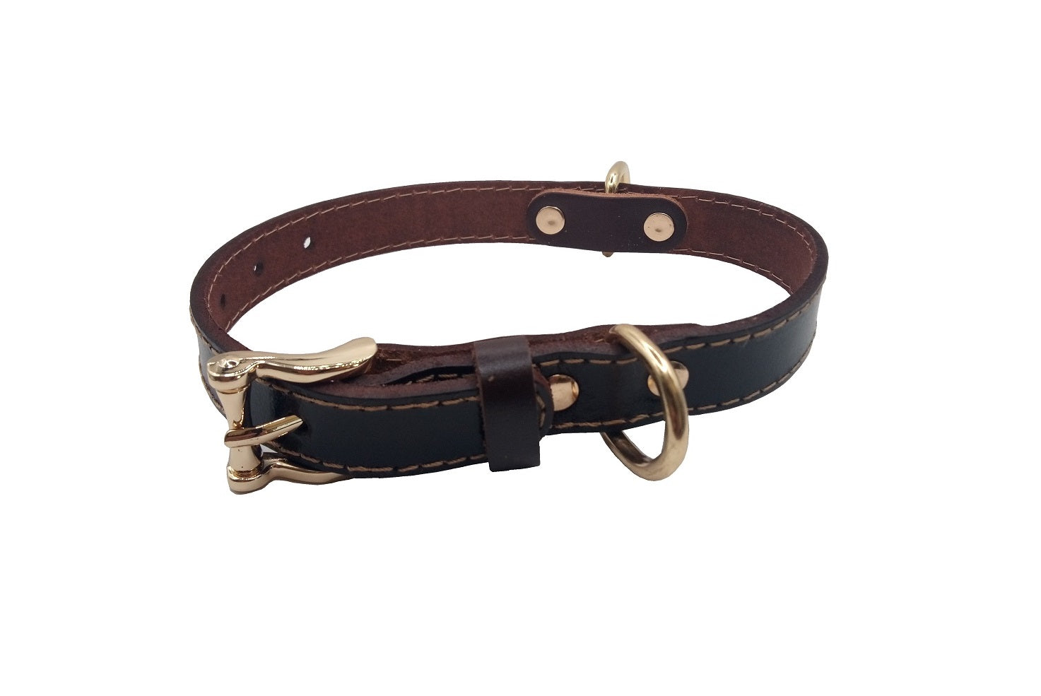 Echtleder Hundehalsband