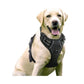 Hundegeschirr mit 2 Ringen