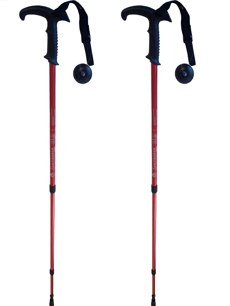 2er Set Wanderstöcke bis 130 cm