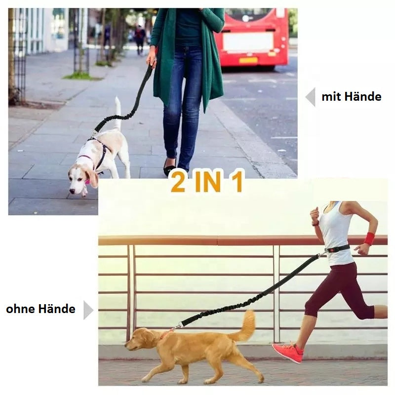 Hände Frei Hundeleine / Joggingleine