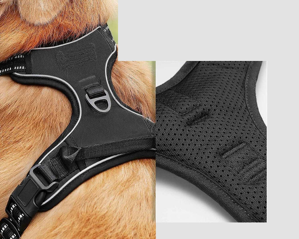 Hundegeschirr mit 2 Ringen