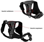 Hundegeschirr mit 2 Ringen
