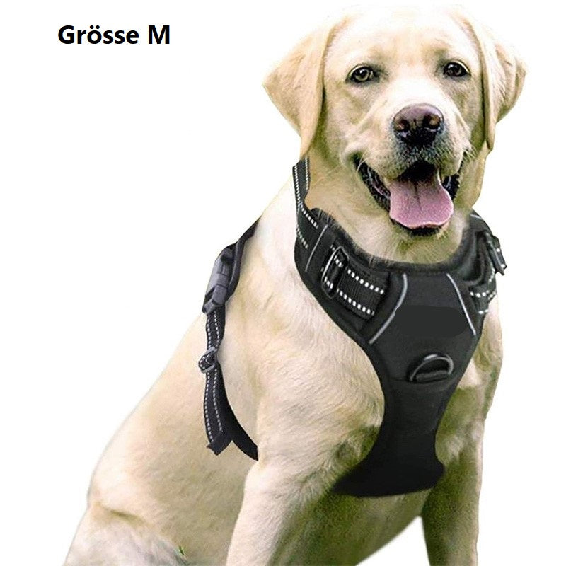 Hundegeschirr mit 2 Ringen