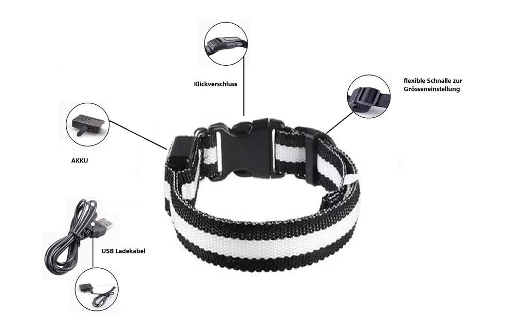 LED Hunde Leuchthalsband