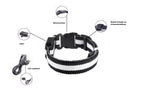 LED Hunde Leuchthalsband