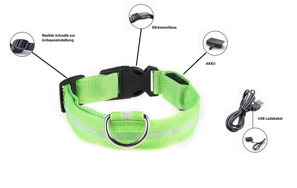 LED Hunde Leuchthalsband