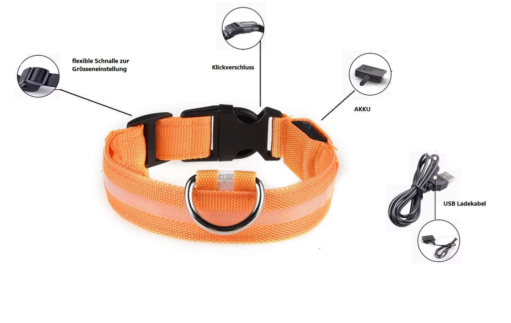 LED Hunde Leuchthalsband