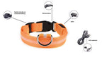 LED Hunde Leuchthalsband
