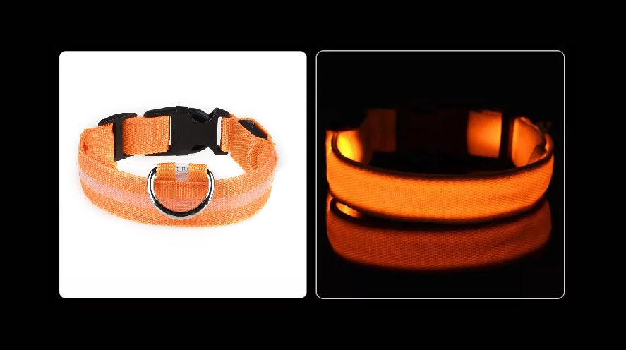 LED Hunde Leuchthalsband