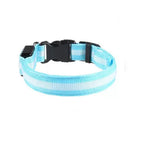 LED Hunde Leuchthalsband