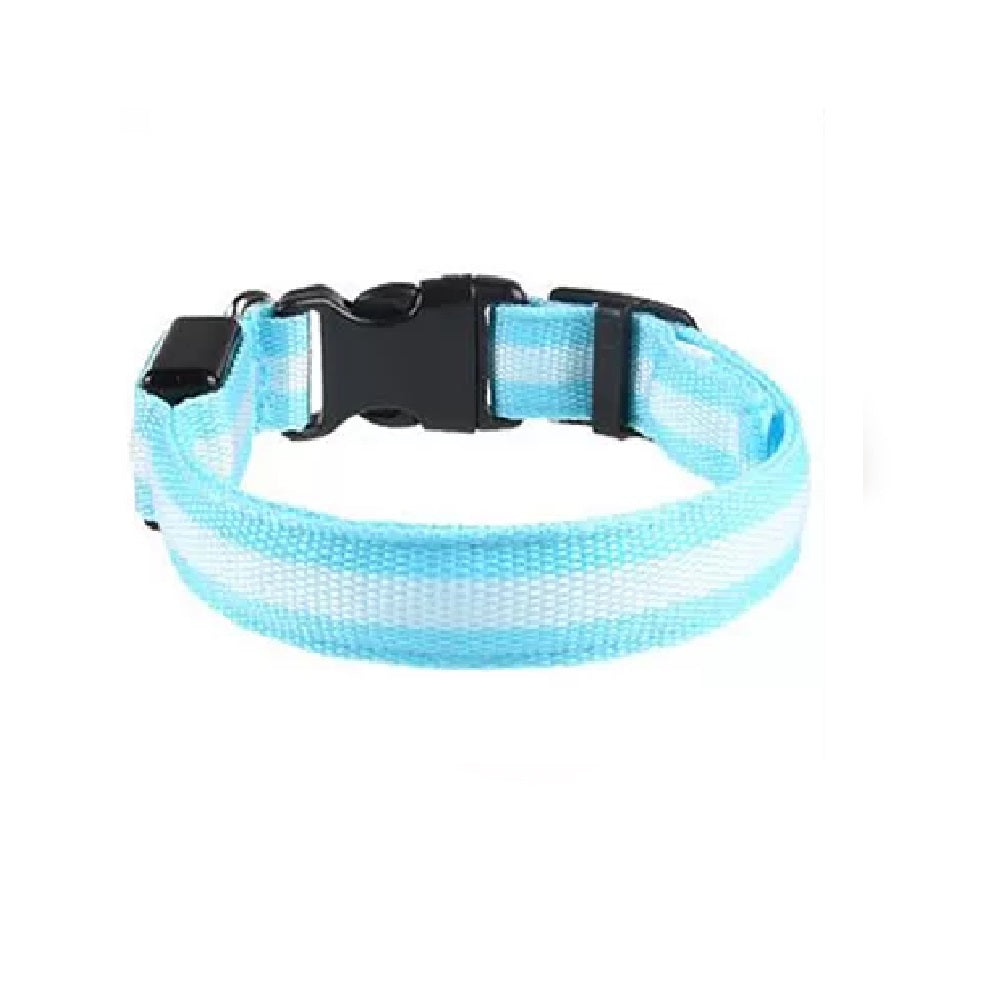 LED Hunde Leuchthalsband