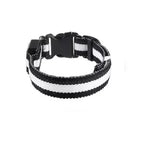 LED Hunde Leuchthalsband