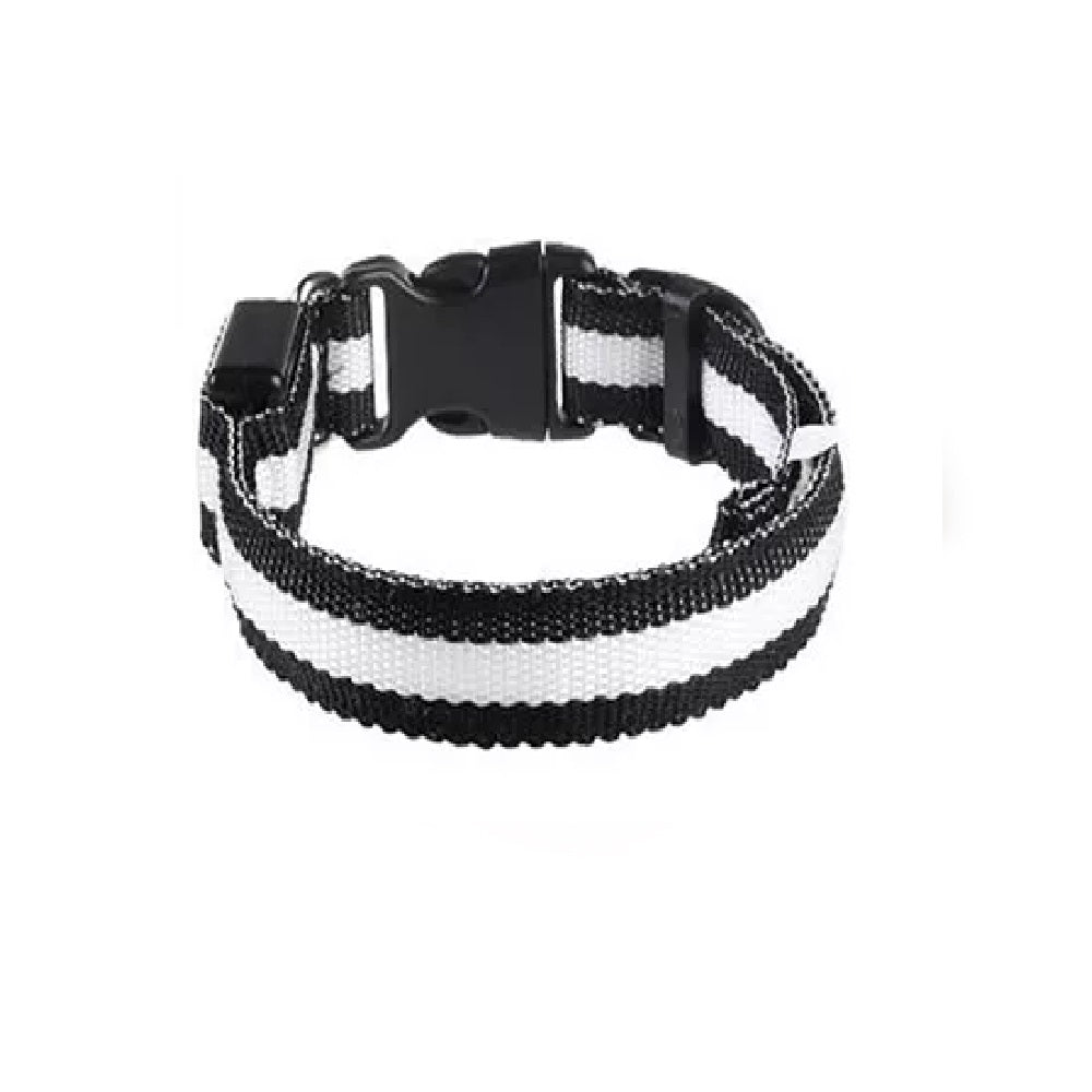 LED Hunde Leuchthalsband
