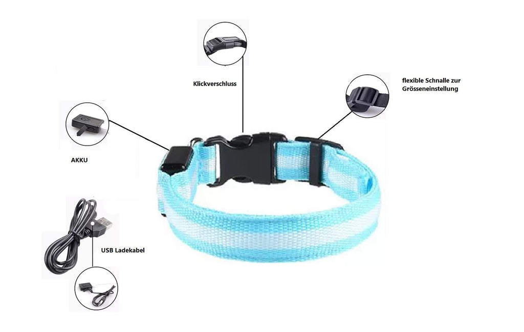 LED Hunde Leuchthalsband
