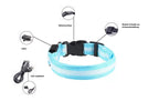 LED Hunde Leuchthalsband