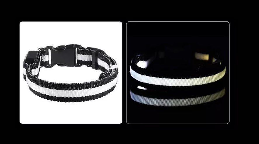 LED Hunde Leuchthalsband