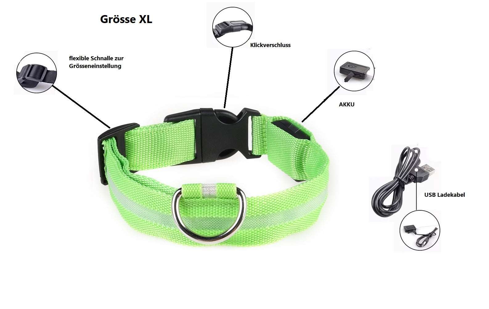 LED Hunde Leuchthalsband