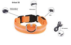 LED Hunde Leuchthalsband