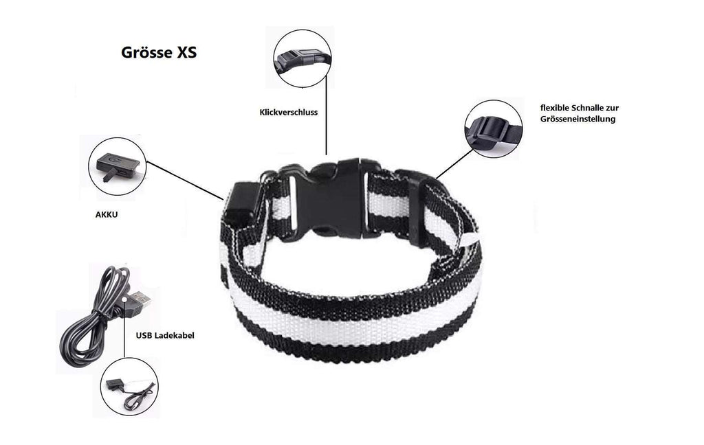 LED Hunde Leuchthalsband