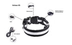 LED Hunde Leuchthalsband